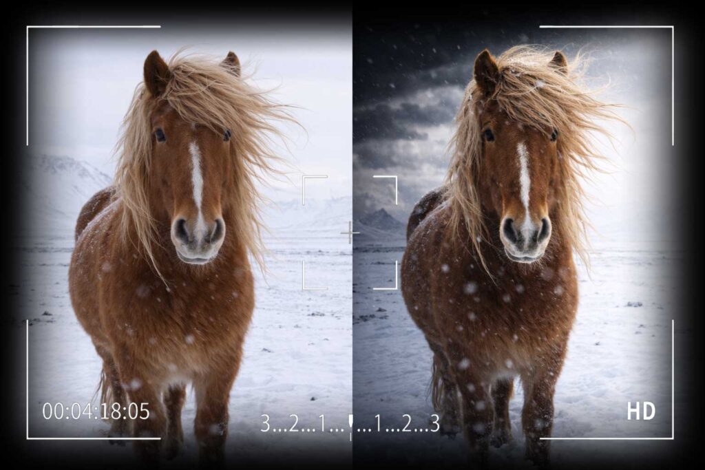 lightroom bsp picture focus